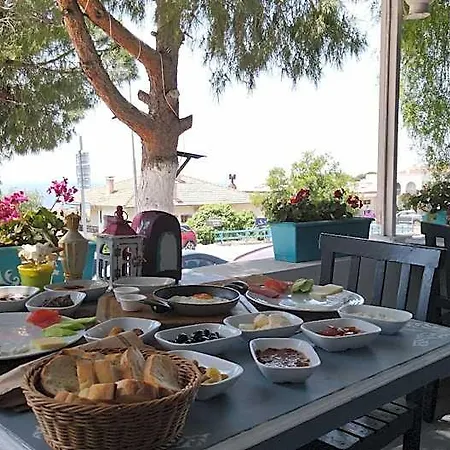 Hotel Minerva Port 3*