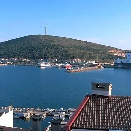 Minerva Port 3*
